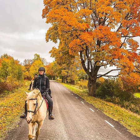 Tihuse Horsefarm * Liiva (Saaremaa)