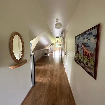 Farm stay Tihuse Horsefarm Liiva (Saaremaa)