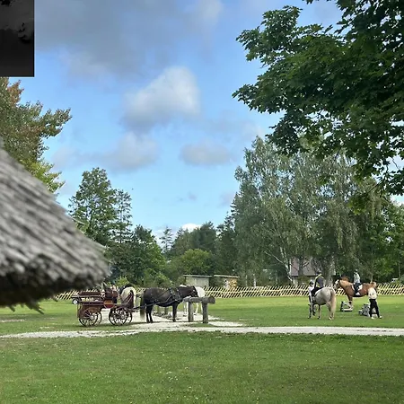 Farm stay Tihuse Horsefarm