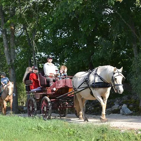 Tihuse Horsefarm Фермерский дом