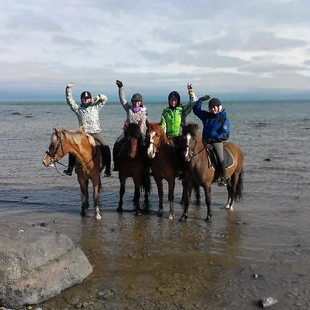 Tihuse Horsefarm مزرعة للإقامة *