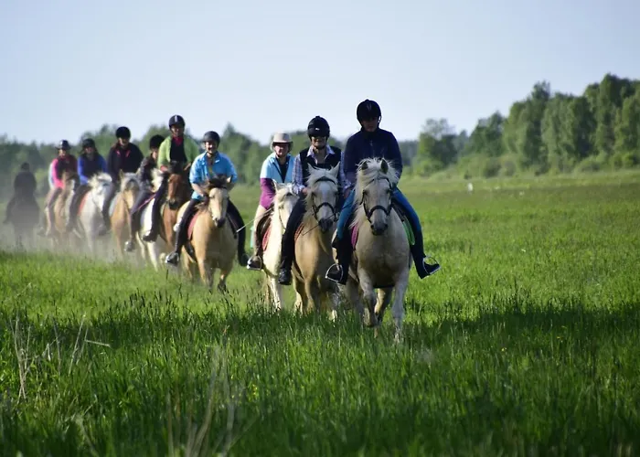 农家乐 Tihuse Horsefarm *