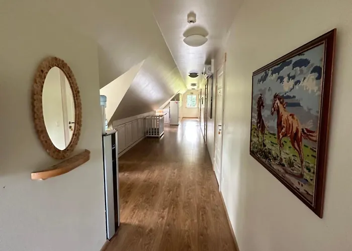 农家乐 Tihuse Horsefarm Liiva (Saaremaa)