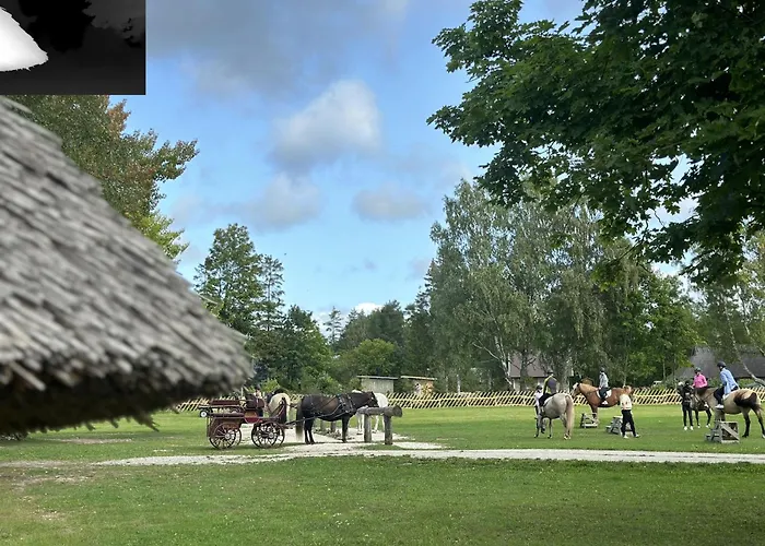 Vakantieboerderij Tihuse Horsefarm