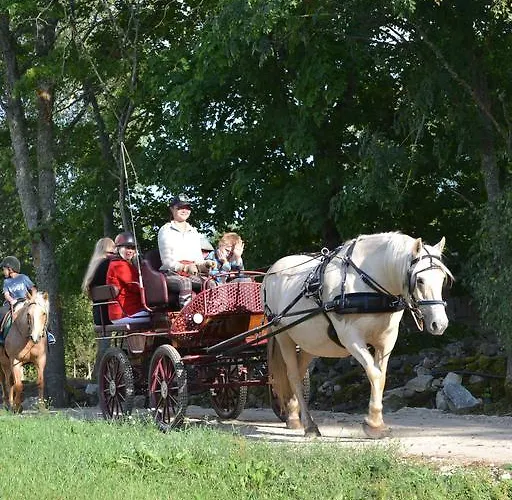 Tihuse Horsefarm Vakantieboerderij