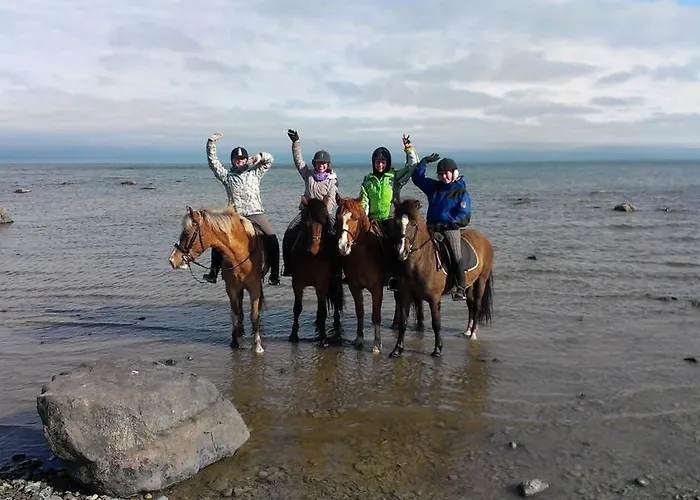 Tihuse Horsefarm Vakantieboerderij *